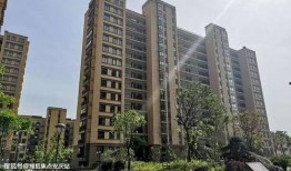 鸿埠园最新爆料新闻,揭秘神秘项目背后的惊人真相